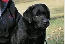 Bee Bee at 3 Months Old