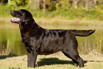 Side picture at 2 years old