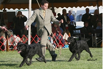 Study and son (James) at Potomac 2009